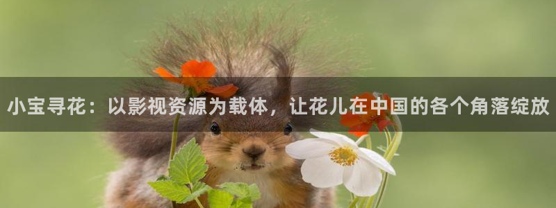 红杏视频官网