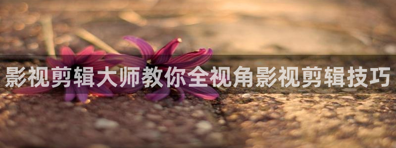 红杏网址