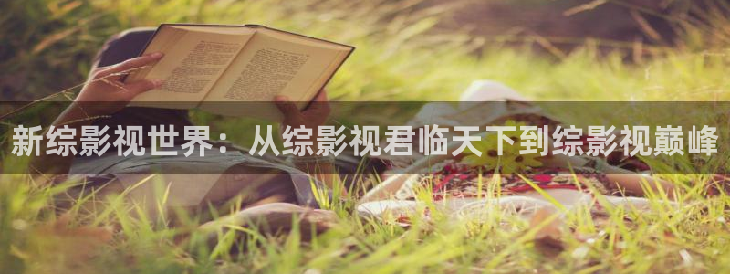 红杏视频软件