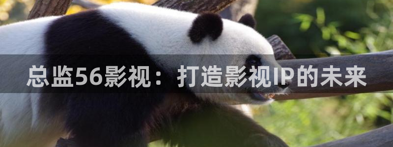 91红杏影院
